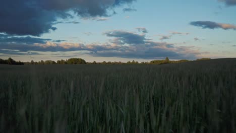 Flying-Above-Grass-Field-In-The-Countryside-At-Sunset