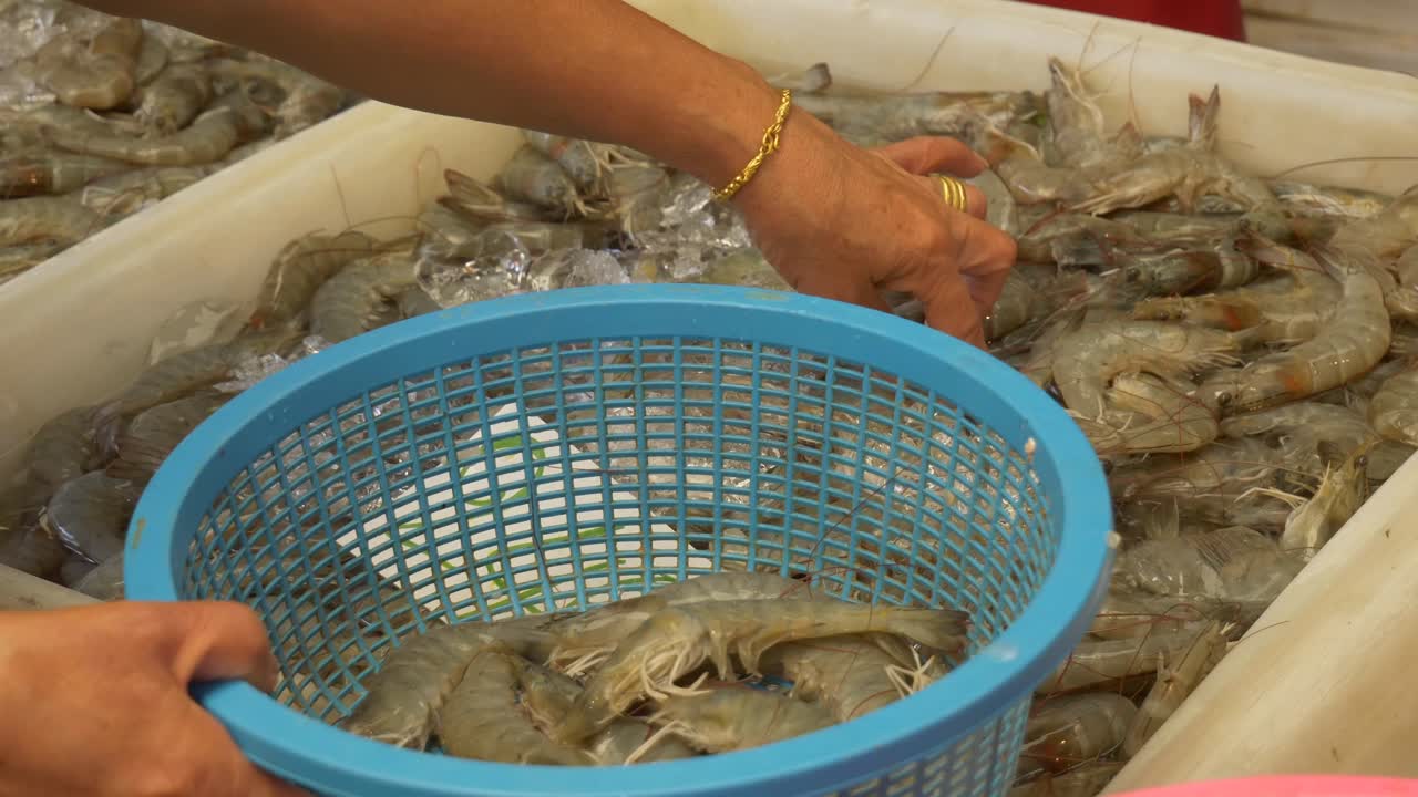 cliente comprando camarones muertos en un cubo de hielo en el mercado de pescado callejero asiático de tailandia