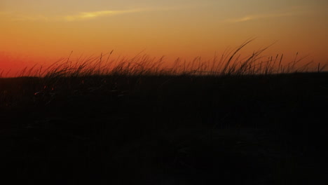 Dünengras-Weht-Im-Wind-Am-Meer,-Während-Die-Sonne-Am-Roten-Himmel-Untergeht