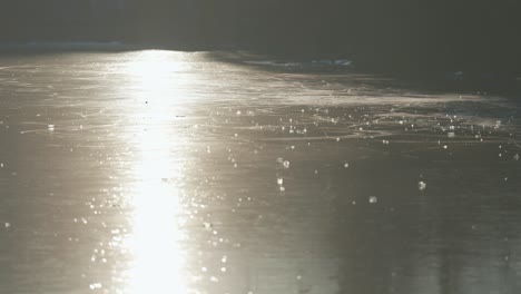 la luz del sol ilumina las huellas dejadas por los patinadores de hielo en un estanque congelado, con árboles sin hojas y hierba marchita en el fondo