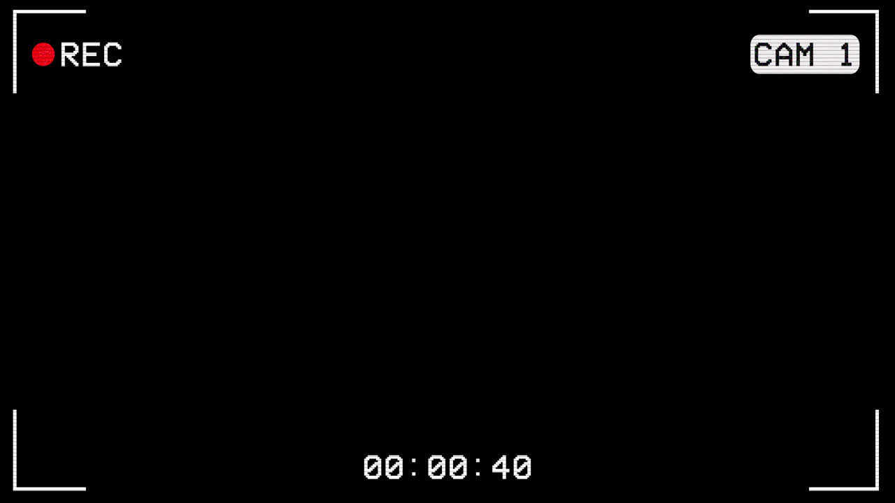 Camera Recording Interface Overlay with REC Indicator and Timecode