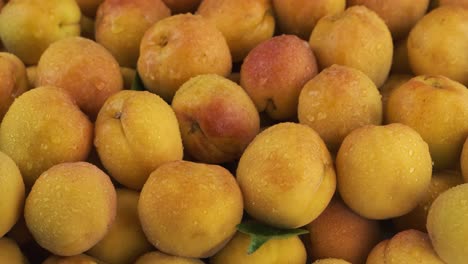 vertical panorama. ripe, juicy apricots with dew drops. fruit background.