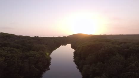 aerial - calm creek flows into ocean