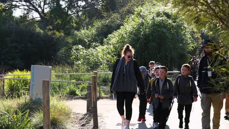 niños y adultos caminando juntos en el zoológico