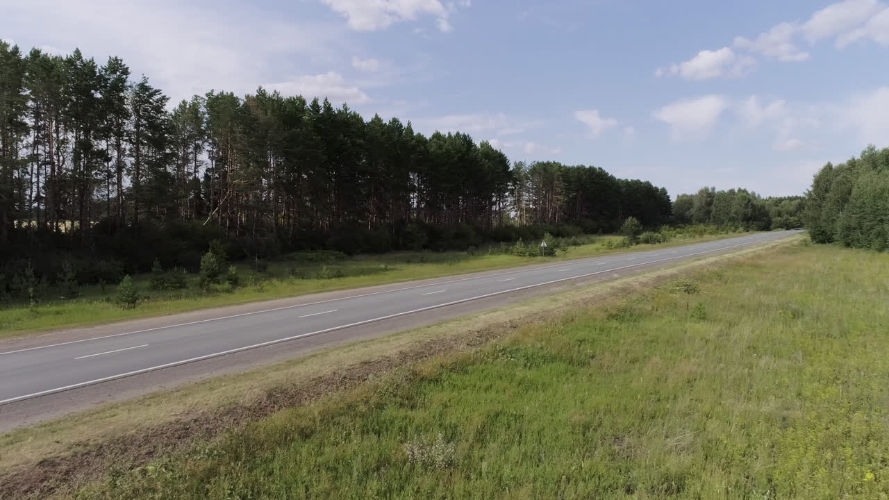camino de campo a través del bosque