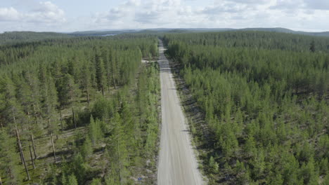 Toma-De-Drones-De-4k-De-árboles-Verdes-De-Verano-En-Un-Bosque-Denso-Con-Un-Pequeño-Camino-Rural