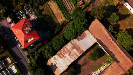 top-down drone shot over a coastal road in varigotti, showing houses, agricultural plots, moving cars and surrounding vegetation