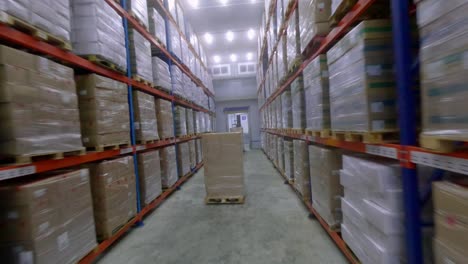 Boxes-Of-Frozen-Food-On-Wooden-Pallets-Being-Transported-By-Forklifts-Inside-The-Warehouse