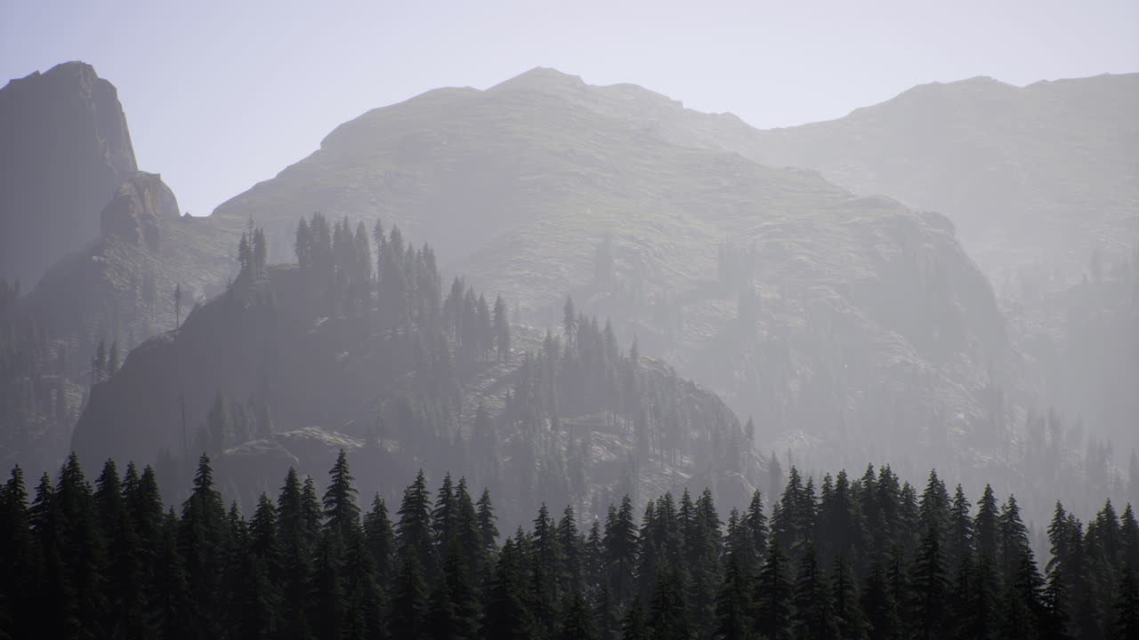 Misty mountains surround dense forest in early morning light
