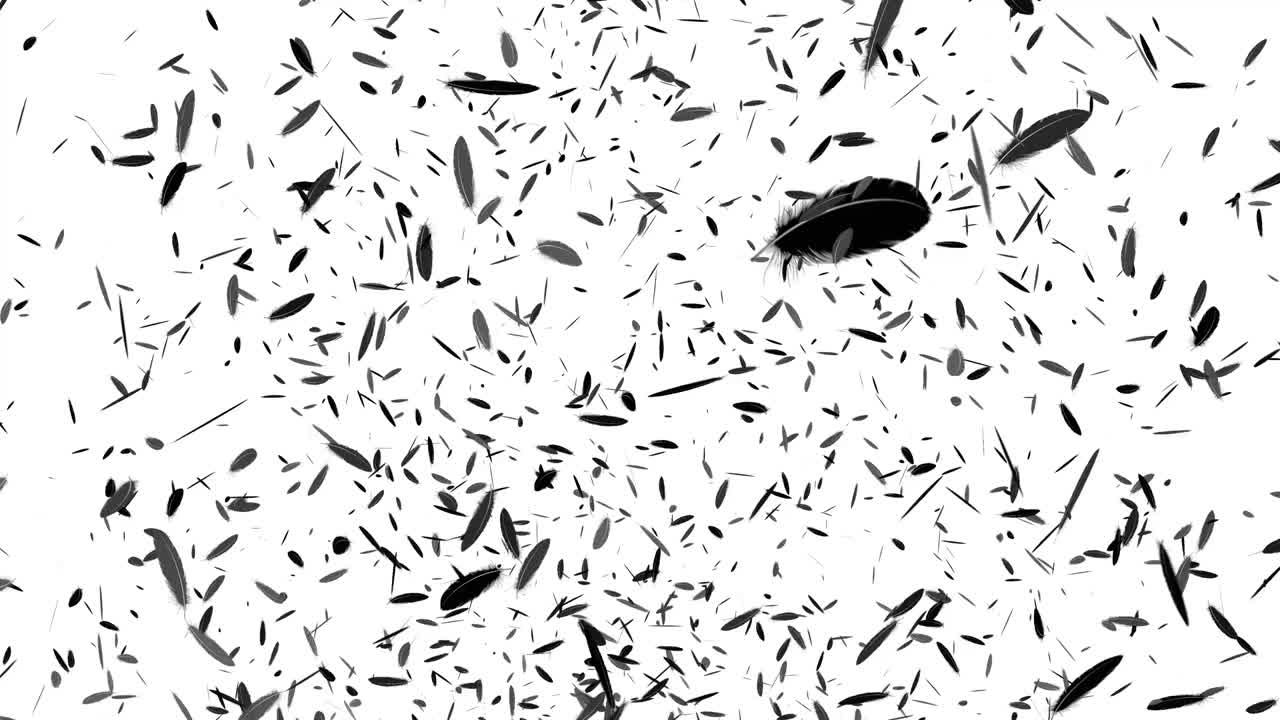 검은 털 날아다니는 입자 모션 그래픽