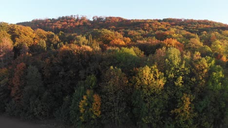 Aerial-view-of-a-forest-in-beautiful-fall-colors