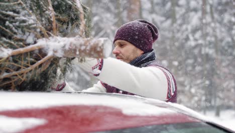 Mann-Packt-Weihnachtsbaum-Auf-Das-Auto