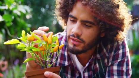 smiling man looking at pot plant