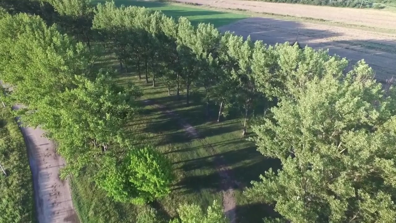 Aerial footage of trees and farmland on a sunny day