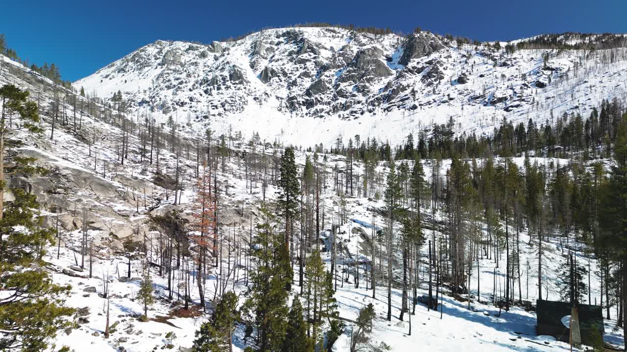 ascenso aéreo a través de pinos boscosos hacia las cataratas de herradura, puentes gemelos, california