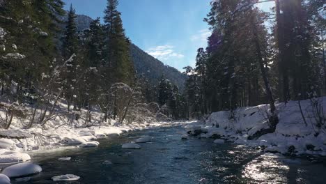 Schöner-Schneeszenenwald-Im-Winter.-Überfliegen-Von-Fluss--Und-Kiefernbäumen,-Die-Mit-Schnee-Bedeckt-Sind.