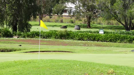 flag on golf course moving with the breeze