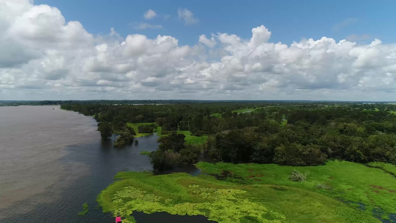 una toma de drones de la selva amazónica inundada en el río negro, amazonas, brasil con fondo de cielo nublado
