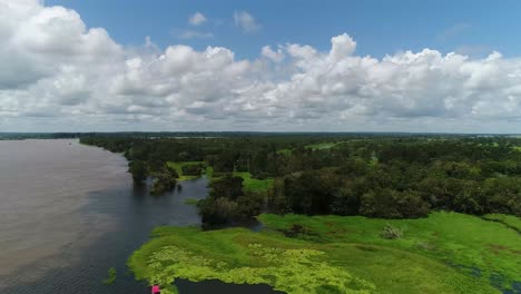 a drone shot of flooded amazonian rain forest in negro river, amazonas, brazil with cloudy sky background