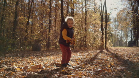 a small curly boy lifts yellow leaves and throws and rejoices as he flys the autumn leaves of trees in the park. high quality 4k footage