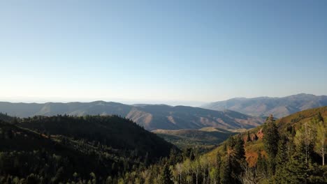 Toma-Aérea-Entre-Dos-árboles-En-El-Bosque-De-Uinta-De-Utah