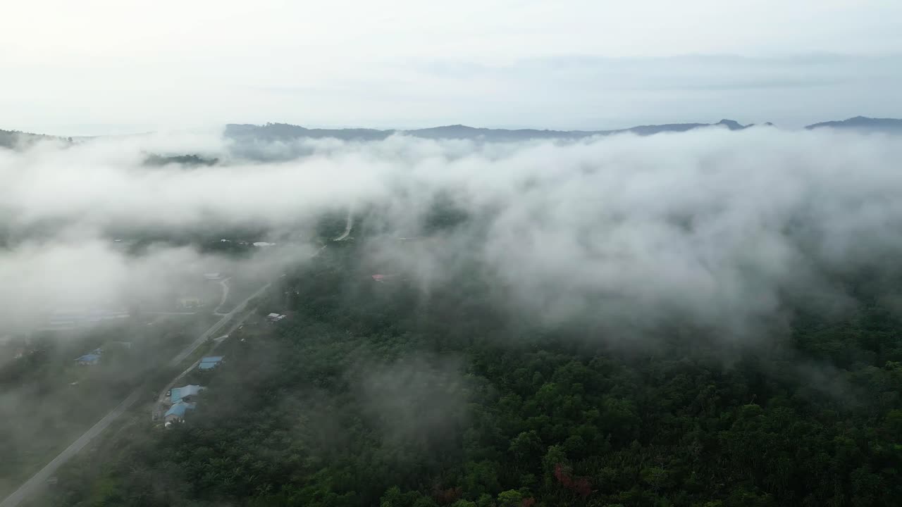 아리엘 드론 뷰 안개가 가득한 아침 해가 지고 푸른 숲이 세메파디 해안 도로 링크 사라와크, 보르네오에 있습니다.