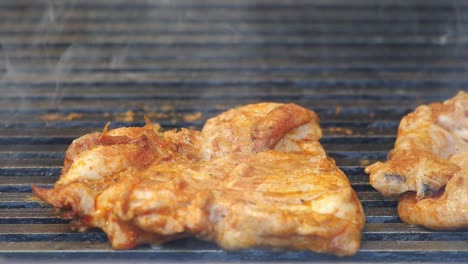 pollo a la parrilla en una parrilla