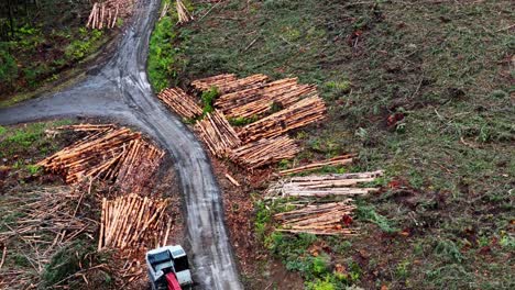 Troncos-Y-Equipos-Para-Cortar-Madera