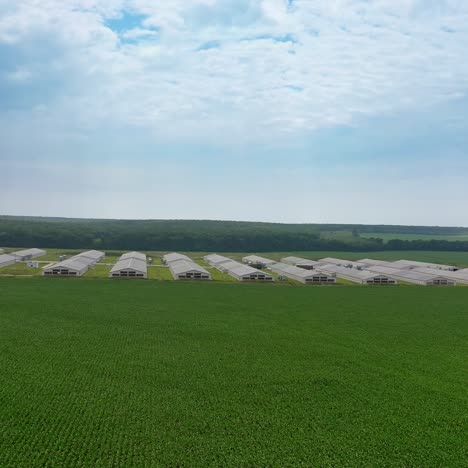 poultry farm industrial