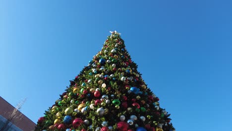 Decorated-Christmas-Tree-in-Chicago