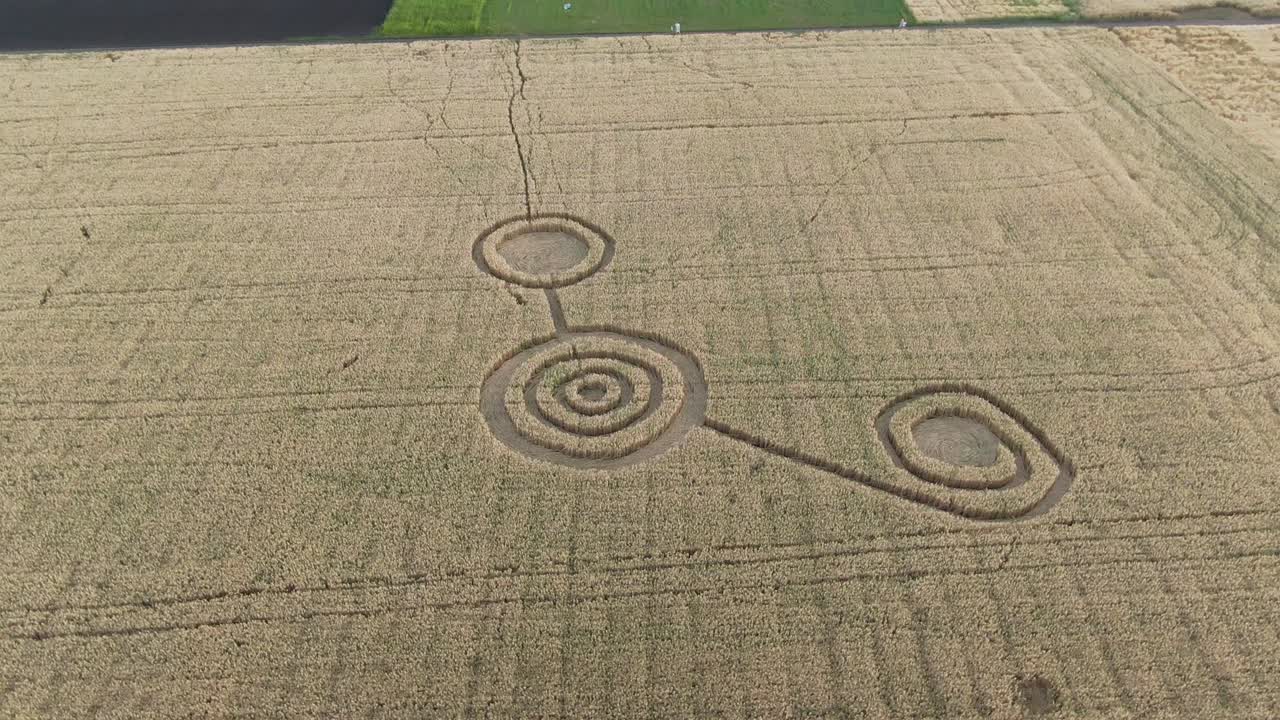 밀  한가운데에 있는 신비한 기하학적 표지판: ufo가 에 발자국을 남겼다.