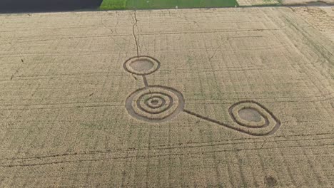 misteriosos signos geométricos místicos en el medio de un campo de trigo. ufo dejó huellas en el campo. imágenes aéreas en 4k