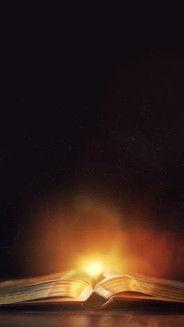 mystery open book with shining pages. fantasy book with magic light sparkles and stars. looped. vertical video.