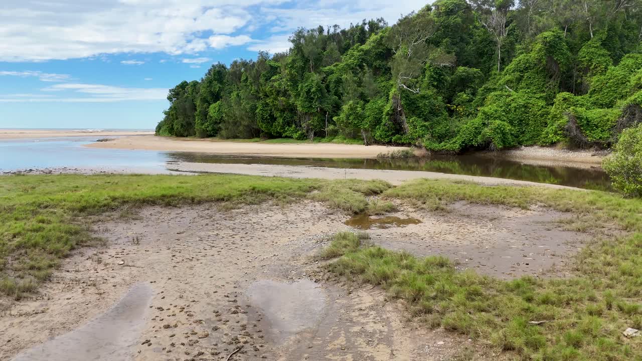 Drone glides above tidal creek, sandy shore, and dense rainforest under bright daylight
