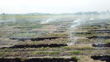 Burning-agricultural-dry-paddy-waste-at-Malaysia,-Southeast-Asia.