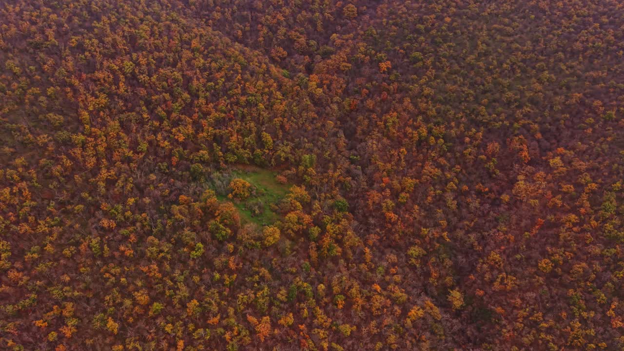 Beautiful aerial view of autumn foliage in Bulgaria's mountainous landscape