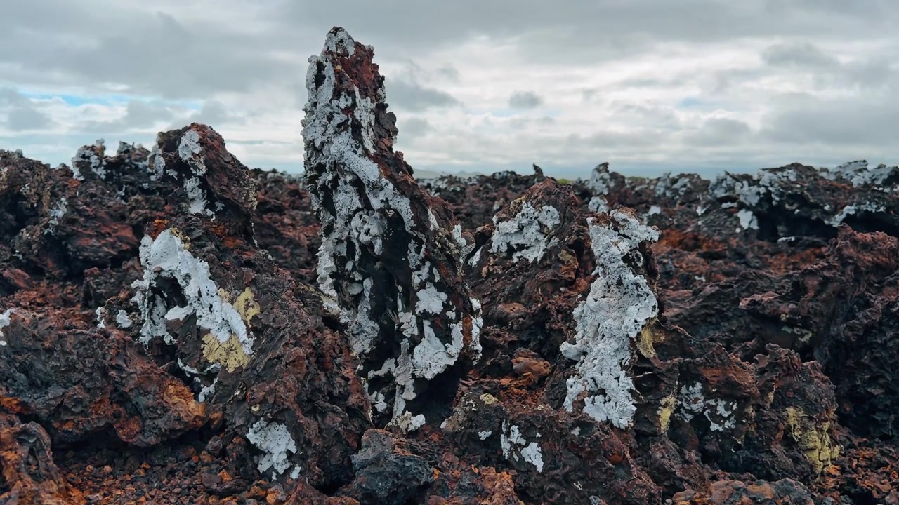 Tulivuoren laavakivimuodostelmia jäkälän peitossa, Las Tintoreras, Galapagos. Terävät basalttipiikit valkoisen ja harmaan jäkälän peitossa dramaattisen pilvisen taivaan alla.