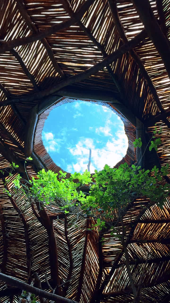 Tetto di paglia naturale con lucernario rotondo. Vista dall'interno di un tradizionale tetto di paglia con lucernario circolare e piante tropicali