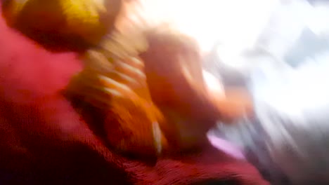 disparo en cámara lenta de una toalla en una máquina de secado