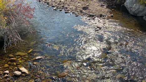 a smooth flowing fresh water stream