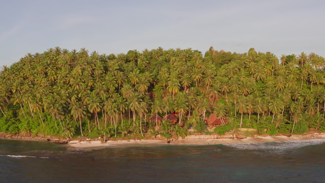 Rivelazione della giungla Mentawai, Indonesia, Asia.