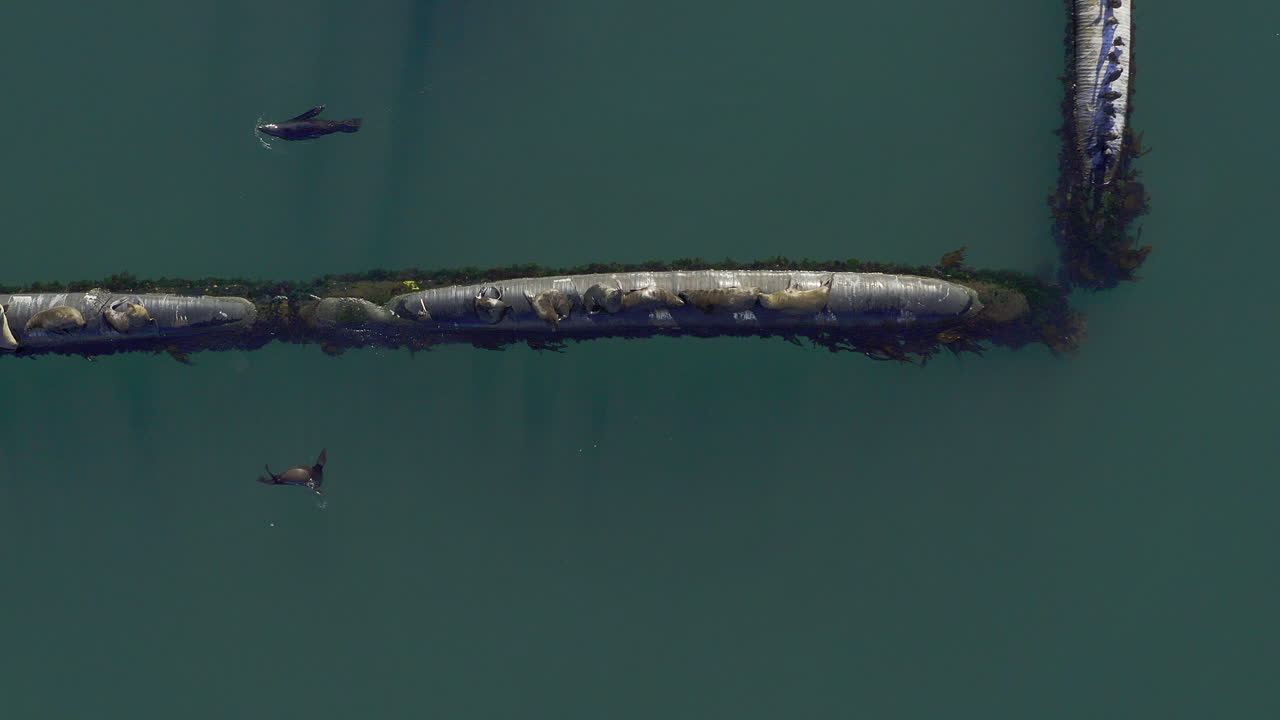 просто плавать и отдыхать.