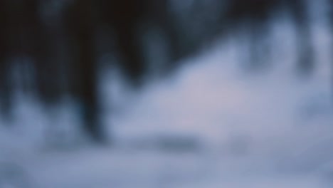 Regenbogenfarbene-Seifenblasen,-Die-In-Der-Luft-Schweben,-Mit-Einem-Verschneiten-Wald-Im-Hintergrund