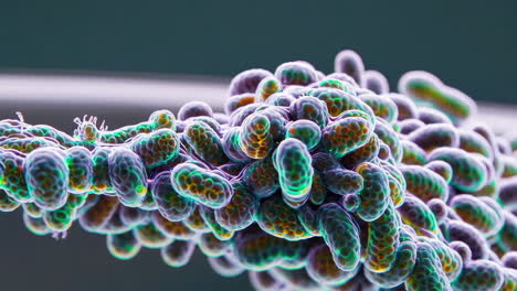 microscopic cells and organisms abstract