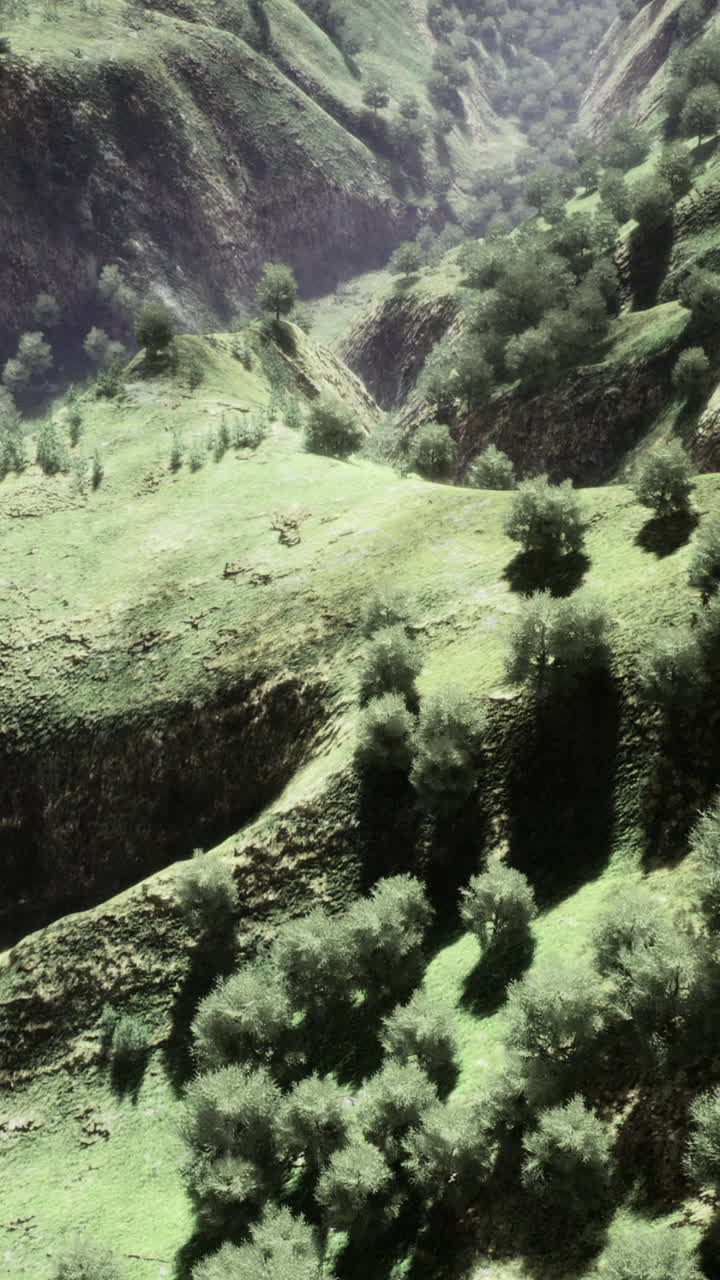 Majestic greenery sprawls across rolling hills of an untouched valley