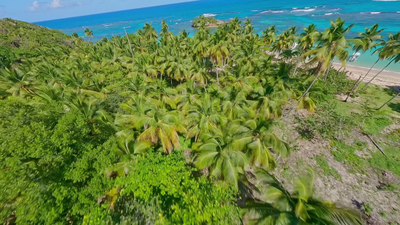 Drone che vola sopra la vegetazione della spiaggia di Playa Ermitano nella stagione estiva, Samaná nella Repubblica Dominicana.