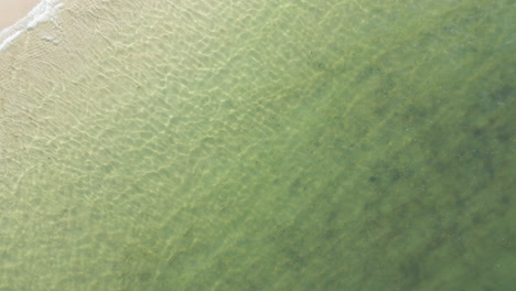 Aerial-view-of-crystal-clear-green-waters-at-Dennis-Port,-Nantucket-Sound,-Massachusetts-in-the-morning