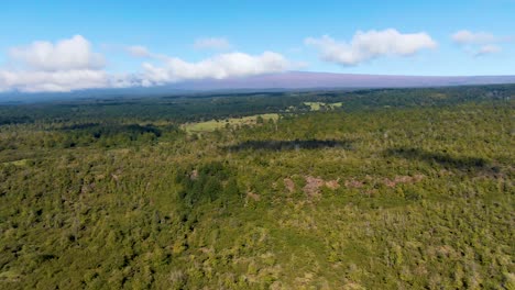 Vegetación-Verde-Y-Exuberante-Aérea,-Maravilloso-Parque-Nacional-En-Hawaii,-Isla-Grande-De-EE.UU.