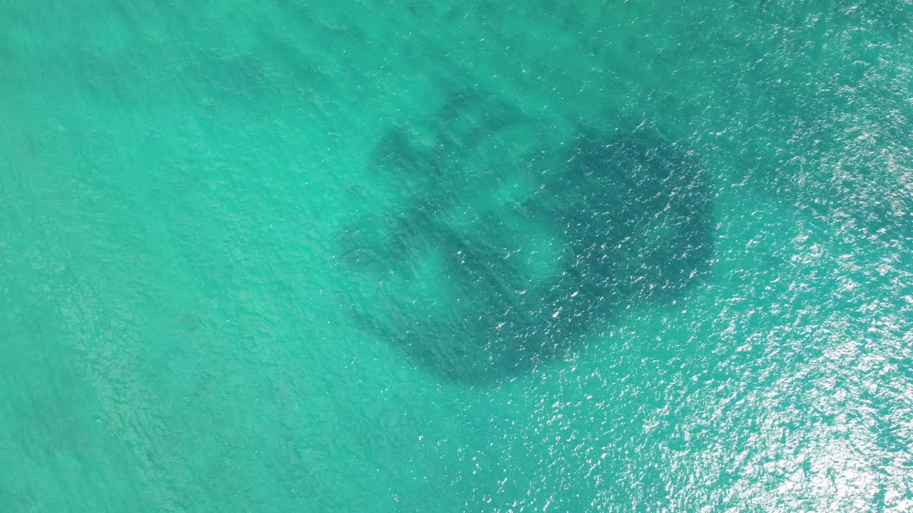 Aerial of bait ball or school of fish sheltering in shallow clear turquoise waters of Koloa Landing at the reef, Kauai, Hawaii, Pacific coastline of USA