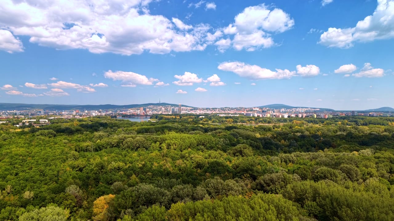 Woodland canopy extending toward a distant city skyline. Dense green treetops fill the foreground below apartment buildings, hills and white clouds against blue sky.